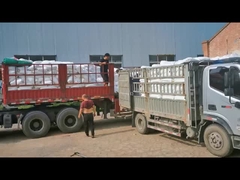 Chlorowany polietylen CPE 135A Modyfikator wpływu PVC dla rur PVC Biały proszek